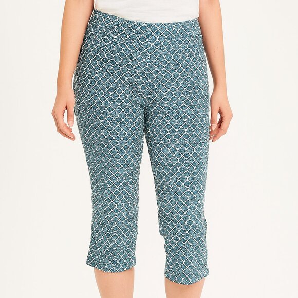 89th & Madison Capri Pants - Blue and White Size Medium EUC - Picture 1 of 10